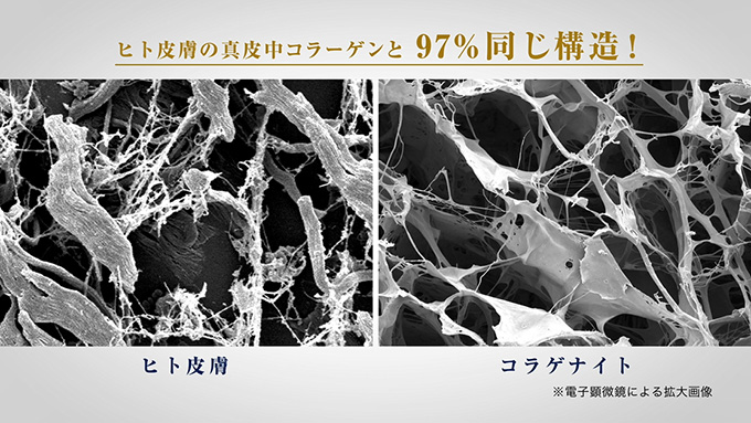 一晩で、目元のハリがピン！ 「セリジエ コラゲナイト」美容液成分を