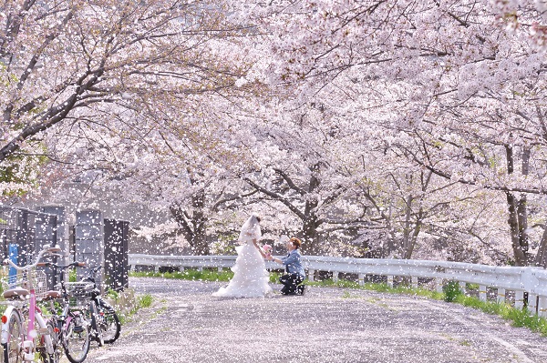 ずっと忘れない…桜の下での告白の画像 - 婚活・結婚相談所ならサンマリエ ずっと忘れない…桜の下での告白の画像 - 婚活・結婚相談所ならサンマリエ