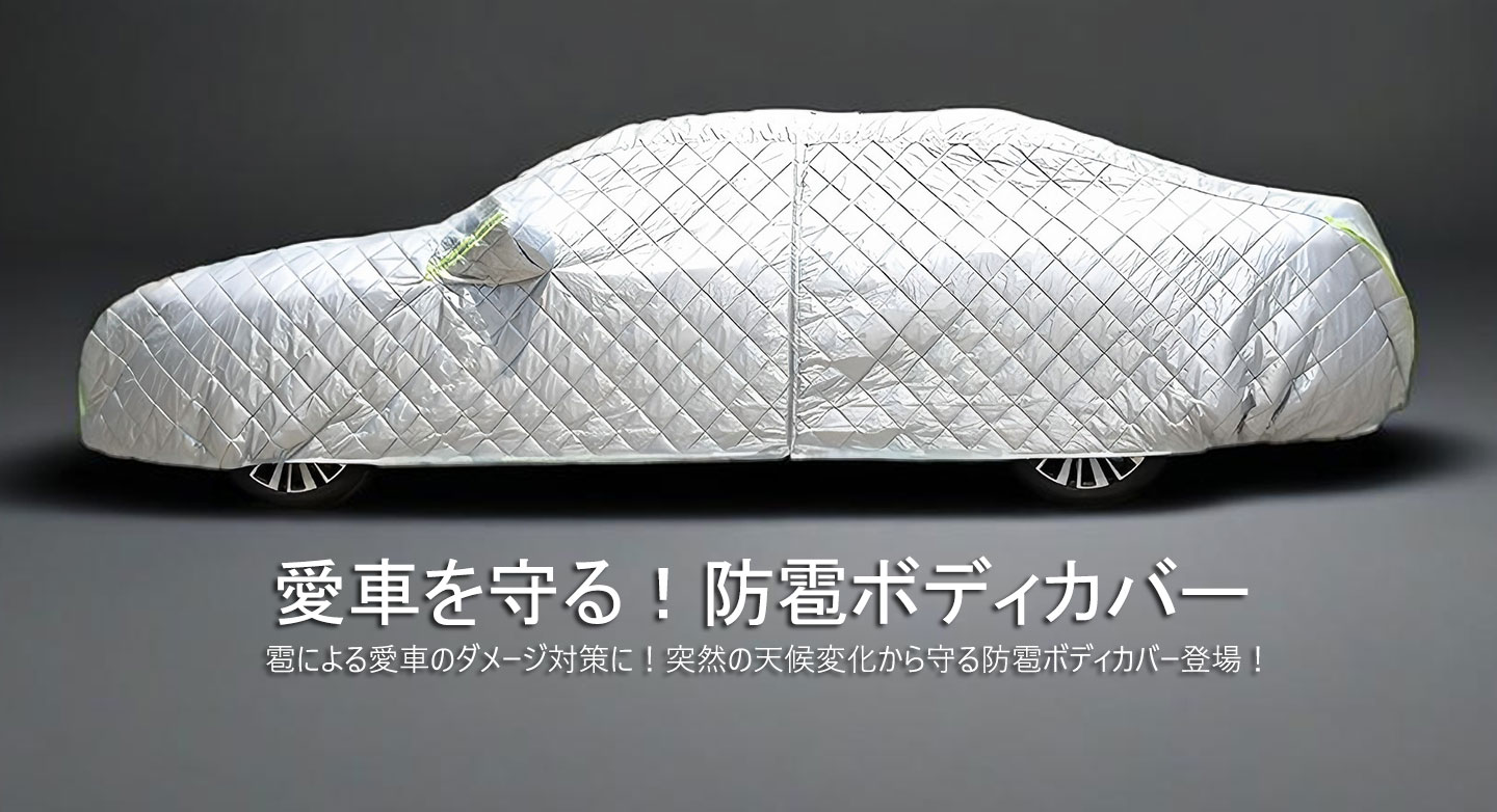 あいおいニッセイ同和損害保険とAUTOLABが業務提携：雹害対策