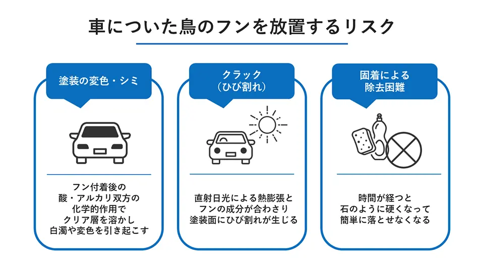 車についた鳥のフンを放置してはいけない理由