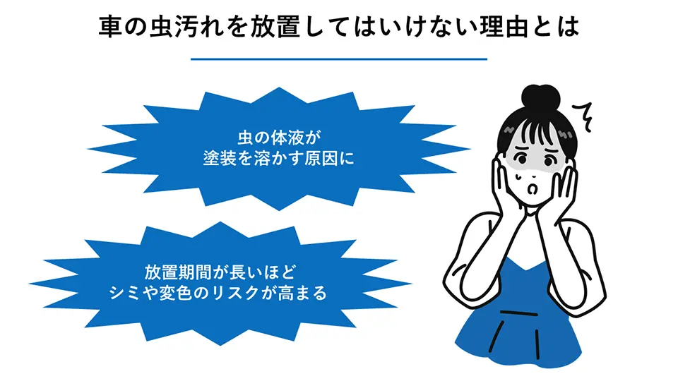 車の虫汚れを放置してはいけない理由とは？
