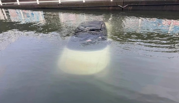 記事画像