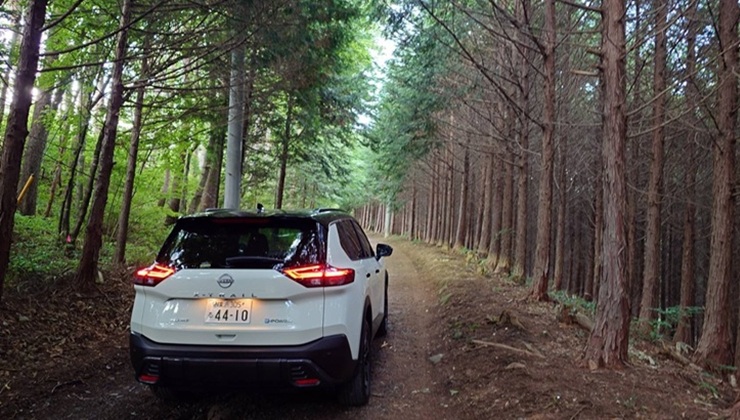 森の中を走るエクストレイル