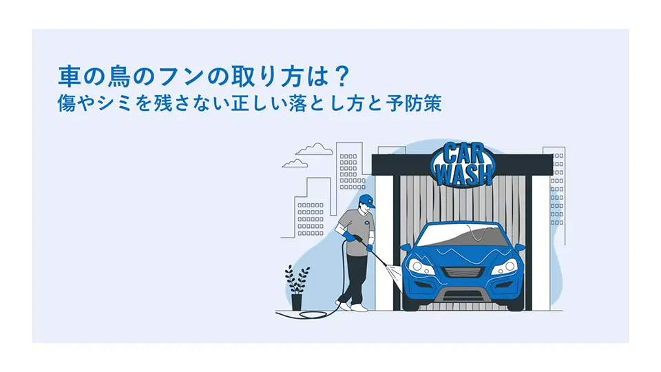 車の鳥のフンの取り方は？傷やシミを残さない正しい落とし方と予防策