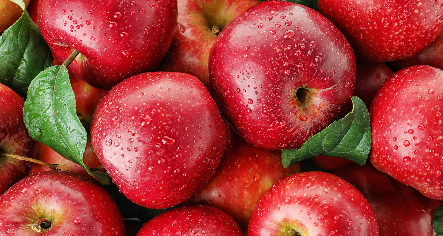 イベントカード