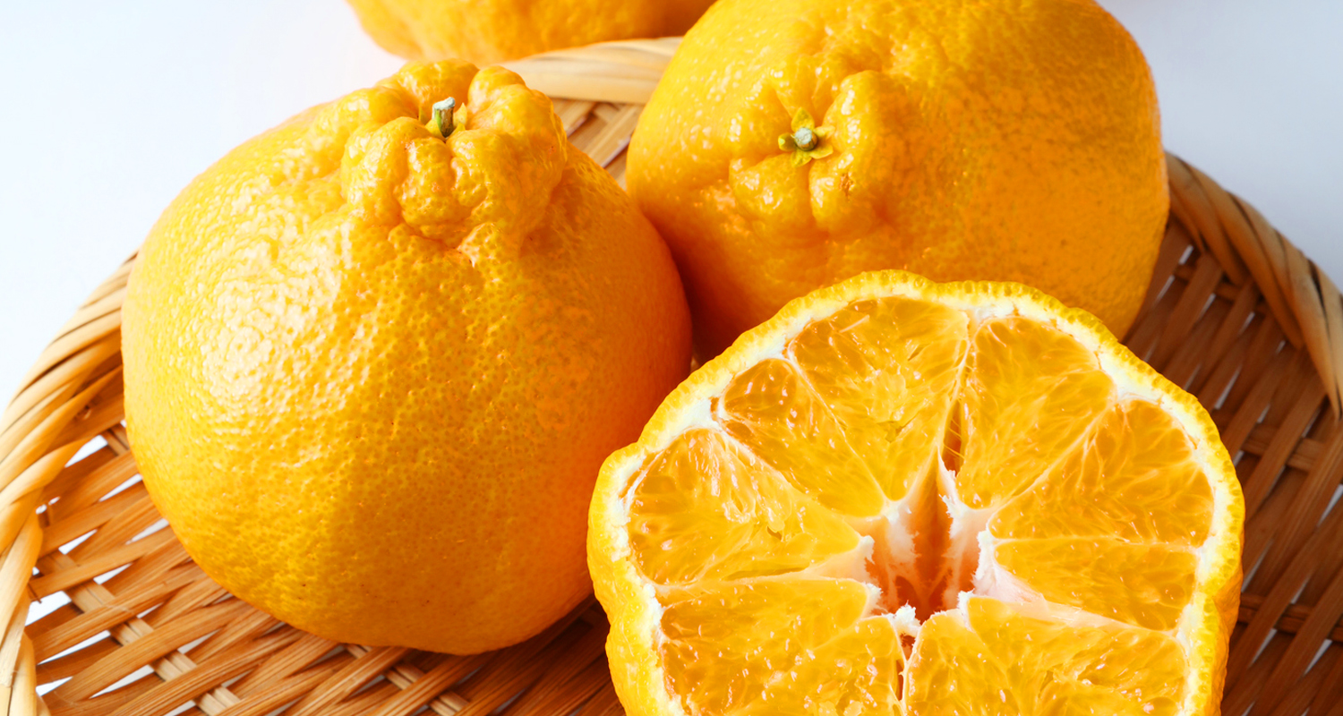 イベントカード