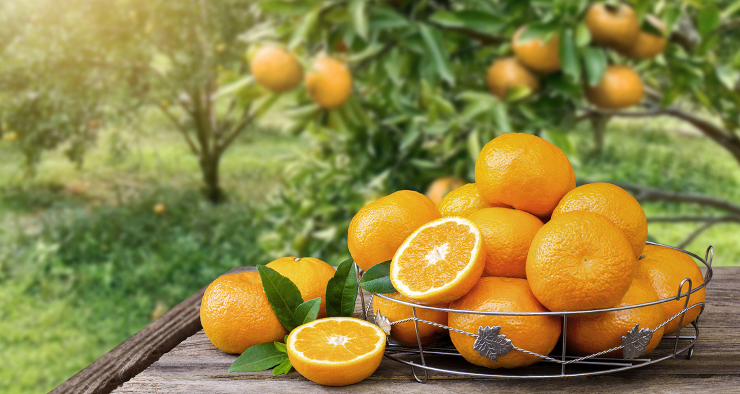 イベントカード