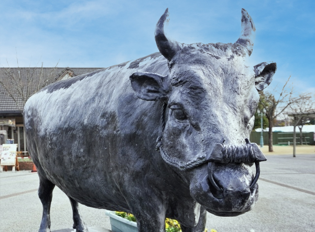 松阪牛にオスはいない！？知られざるブランド牛の秘密に迫る！
