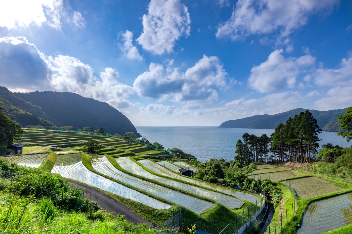 棚田 山水河 75㎝額 水墨風景画 里山風景 故郷 農村 北陸地方 日本の原風景 棚田 山水河 75cm 水墨風景画 里山風景 故郷 農村 北陸地方 日本の原