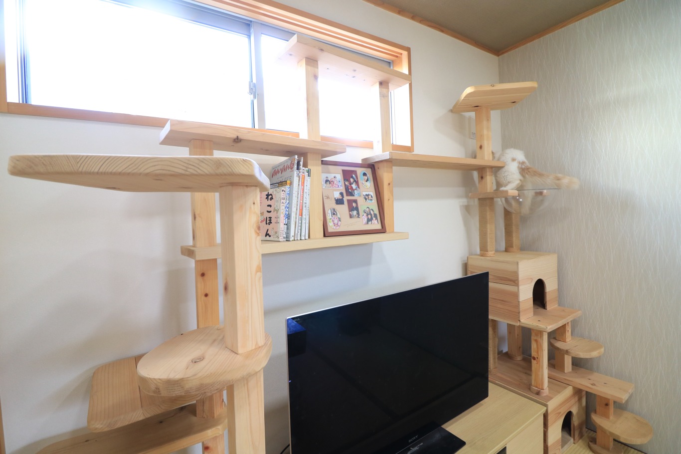かかりつけ大工株式会社友建】世界に一つだけの猫空間を提案！mokumeku