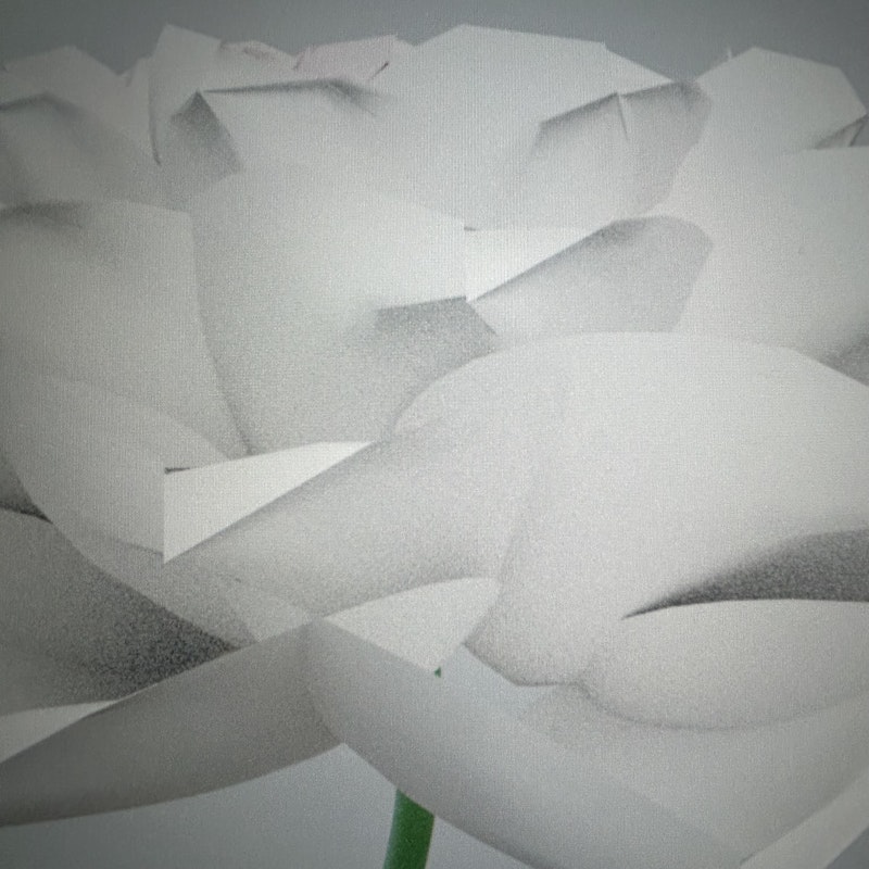 花 hana