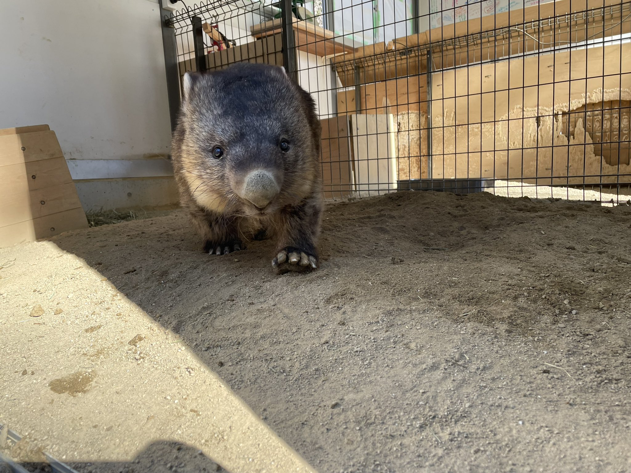 ワインとユキの、まるで夫婦な関係