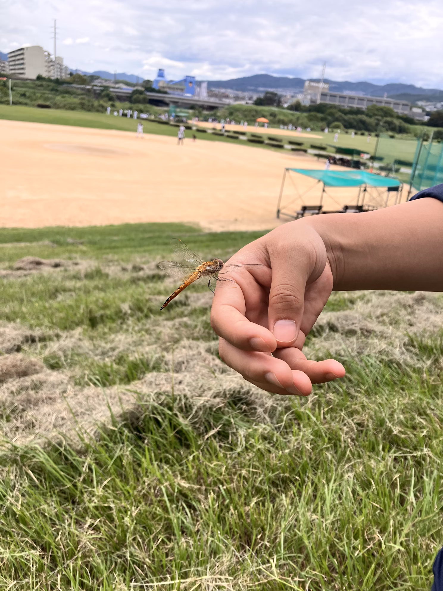 猪名川流域生態調査②