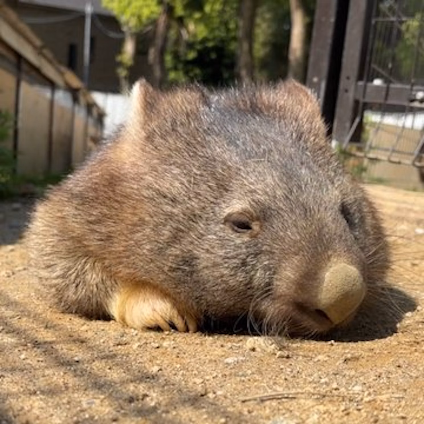 ワインとユキの、まるで夫婦な関係