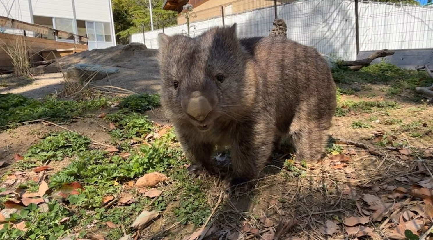 環境エンリッチメントってなあに？