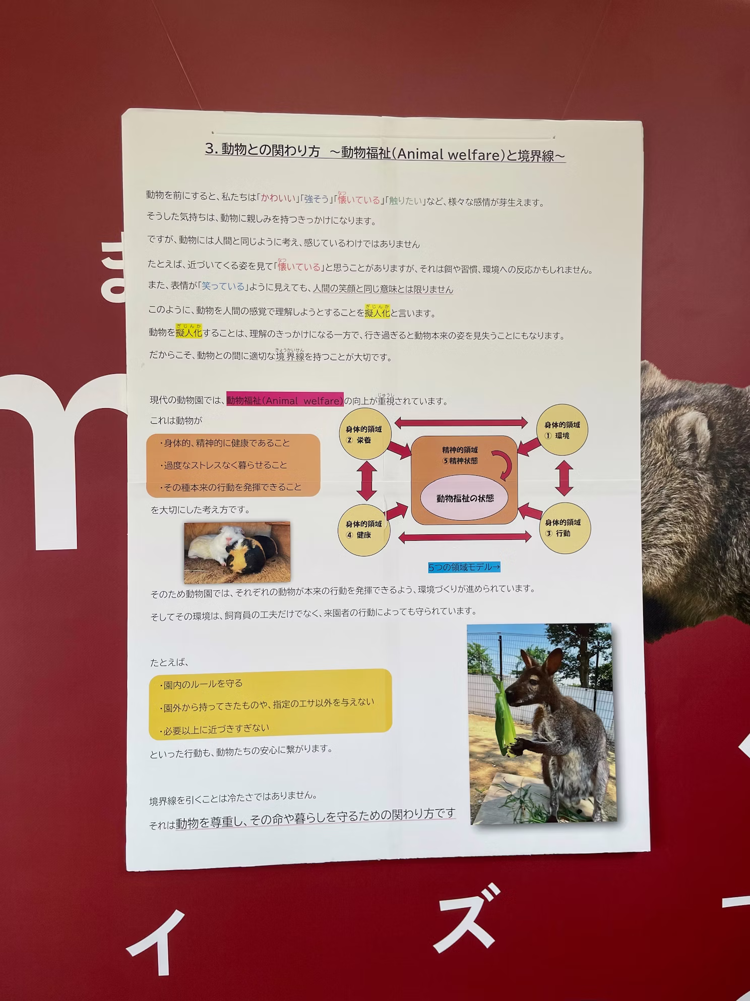 2026年4月19日飼育の日のイベントを開催しました！