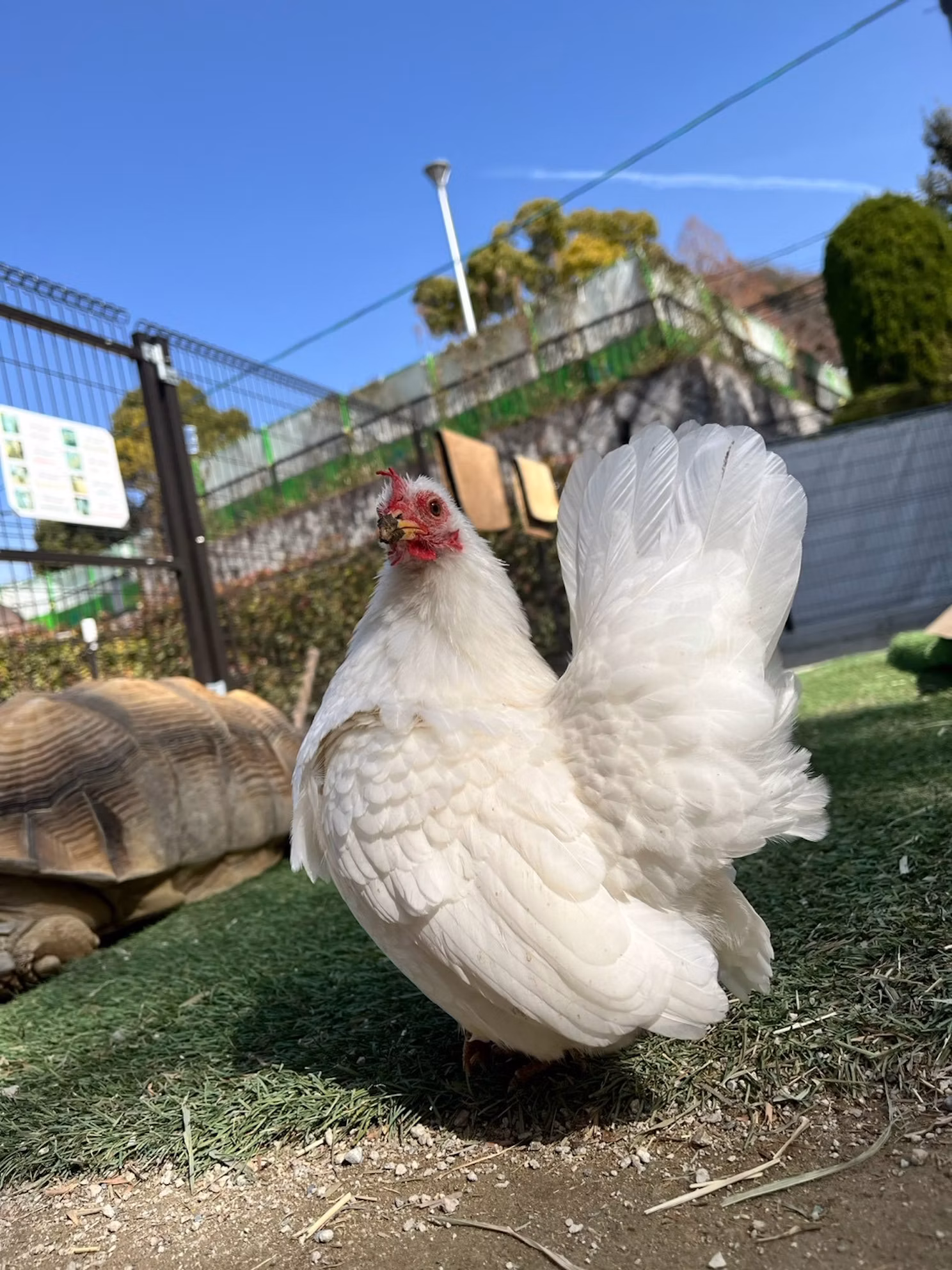 訃報
