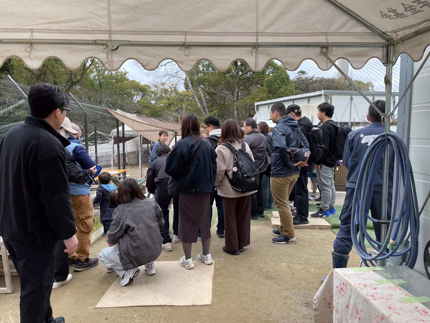 ニワトリの日！！