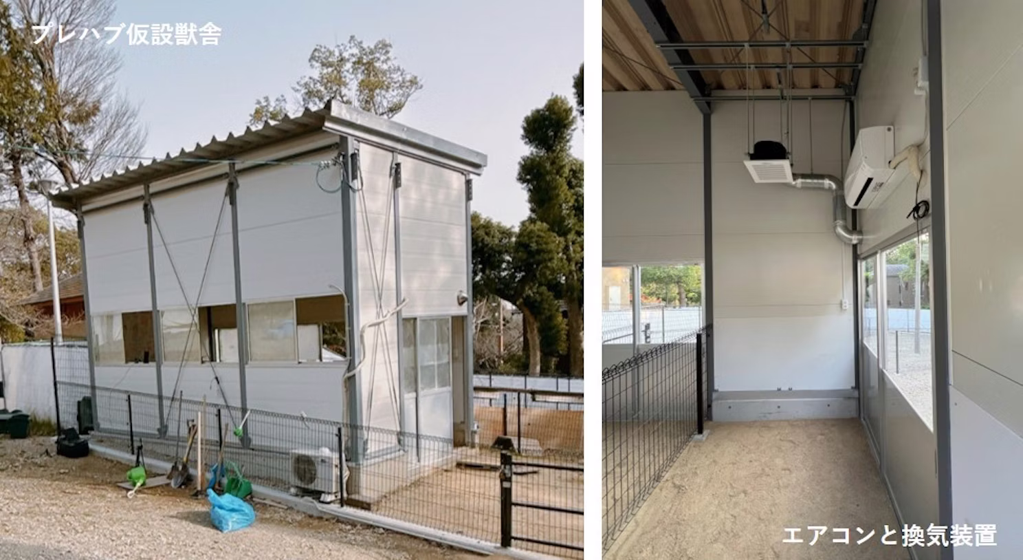 ウォンバットにとって心地よい温熱環境とは？　京都大学大学院 小椋・伊庭研究室のみなさん教えてください！ 