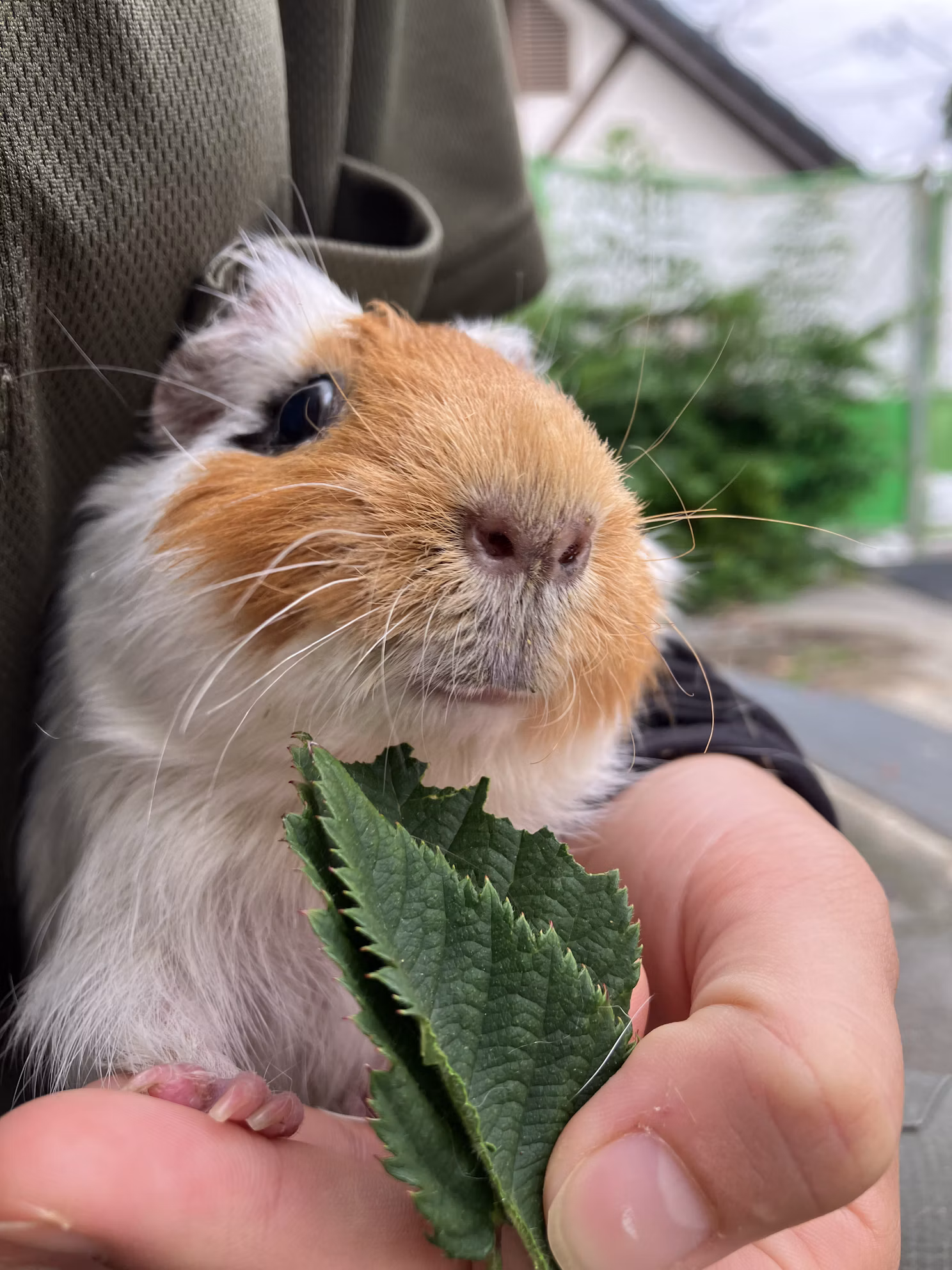 【訃報】
