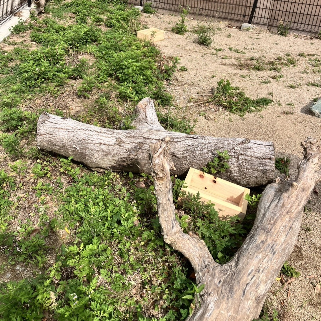 「動物福祉」「環境エンリッチメント」宣言！