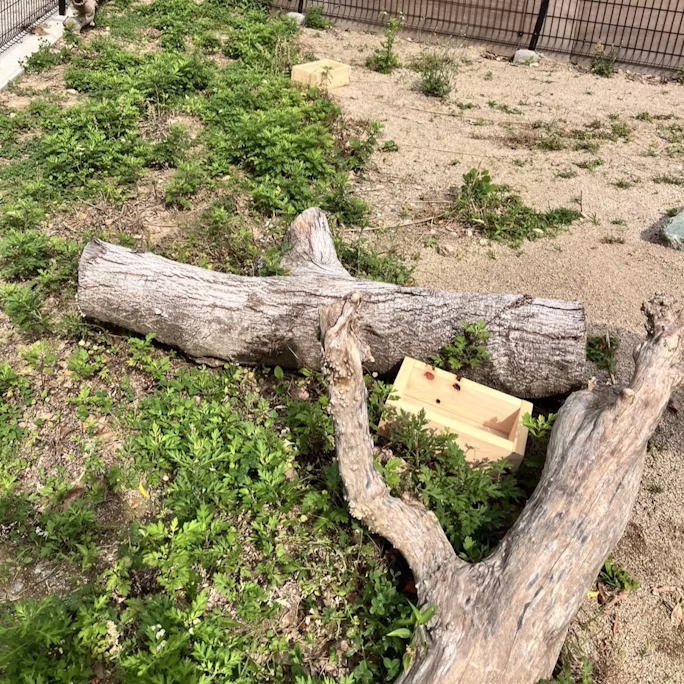 「動物福祉」「環境エンリッチメント」宣言!