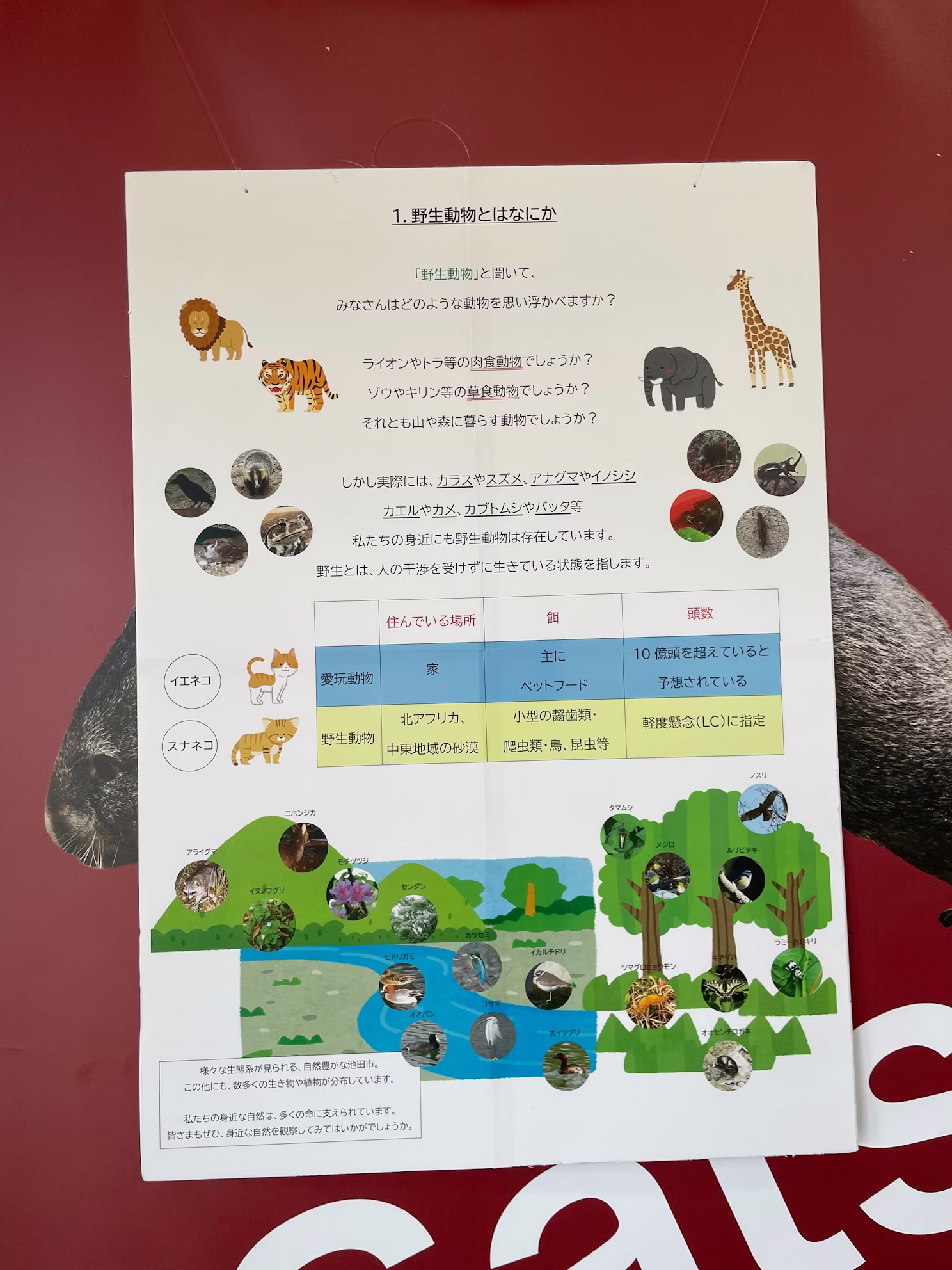 2026年4月19日飼育の日のイベントを開催しました！