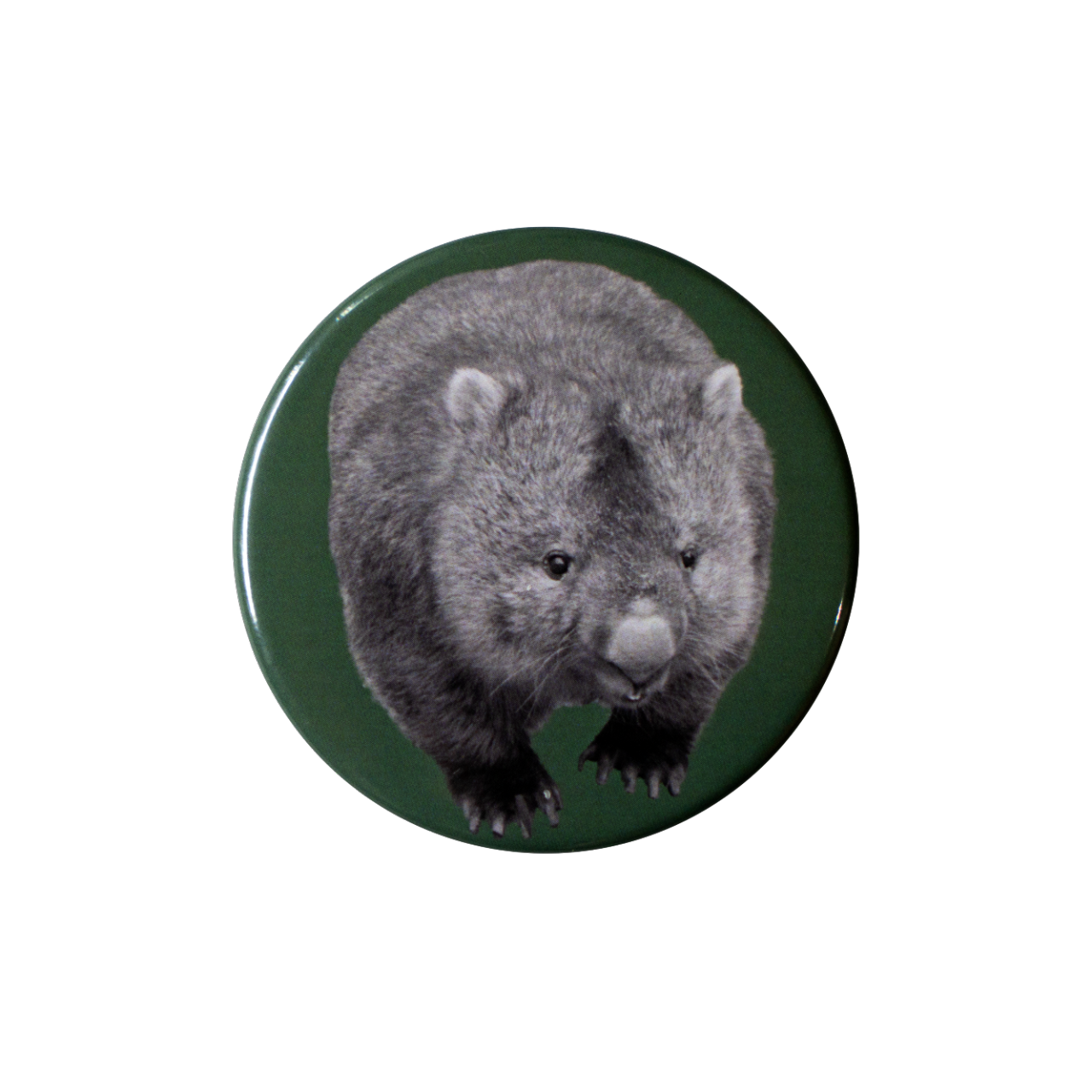 ウォンバット缶バッジ②（つぶらなフクくん）