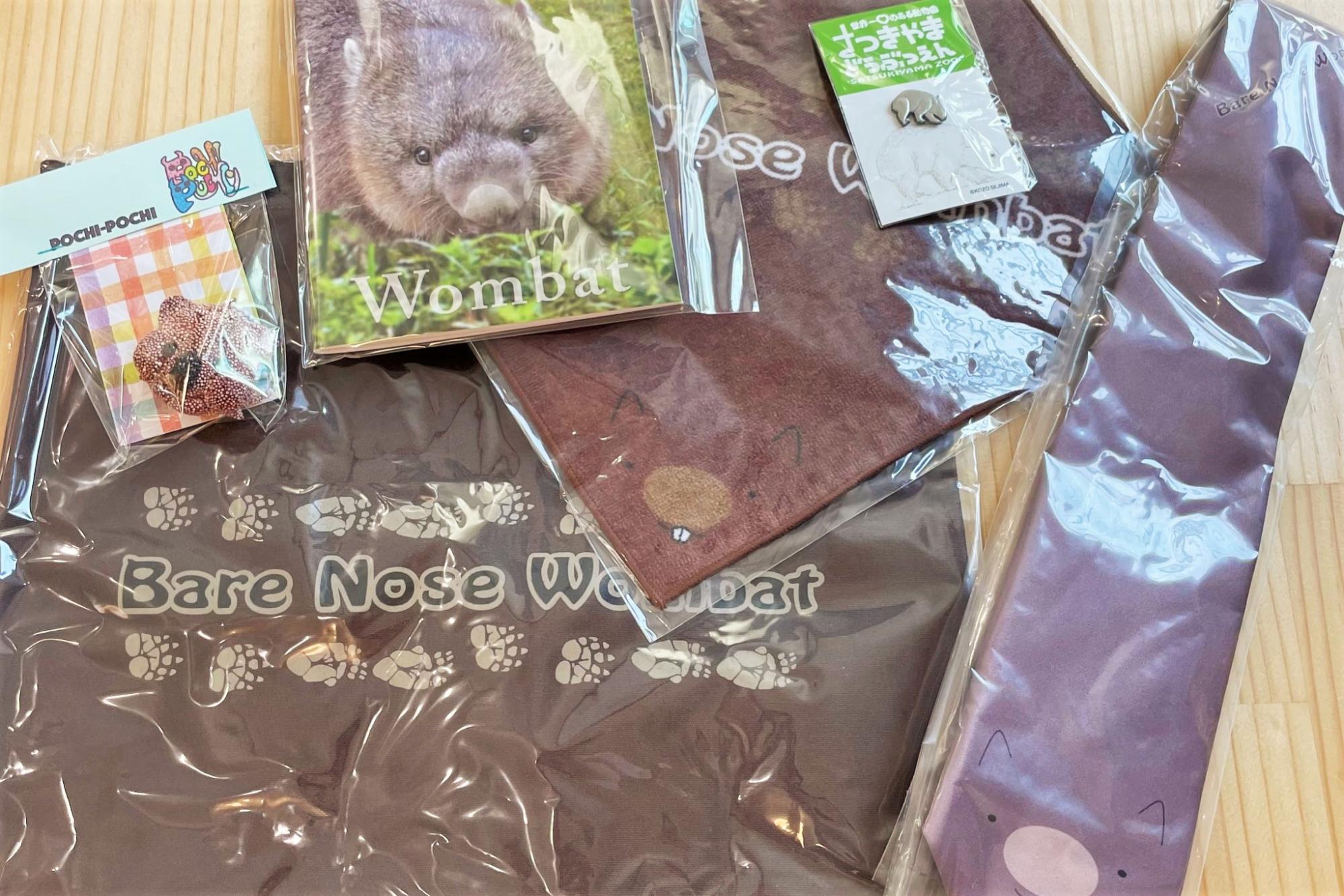 池田市観光案内所