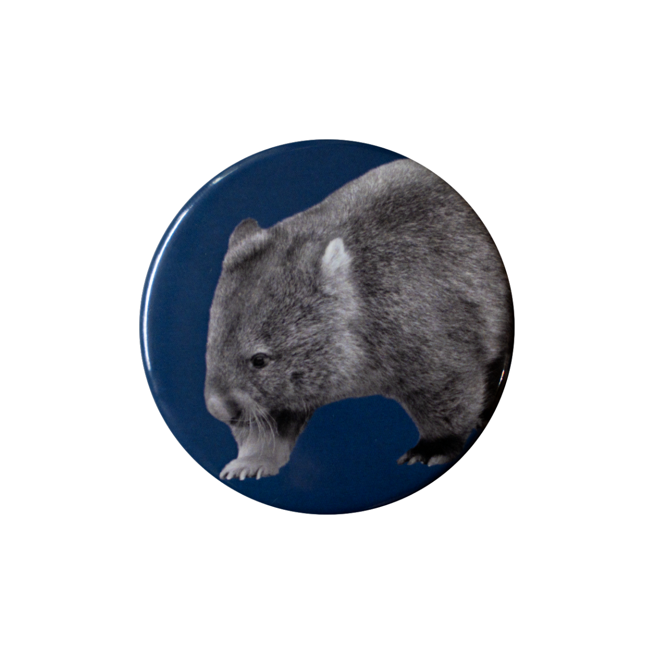 ウォンバット缶バッジ③（てくてくユキちゃん）