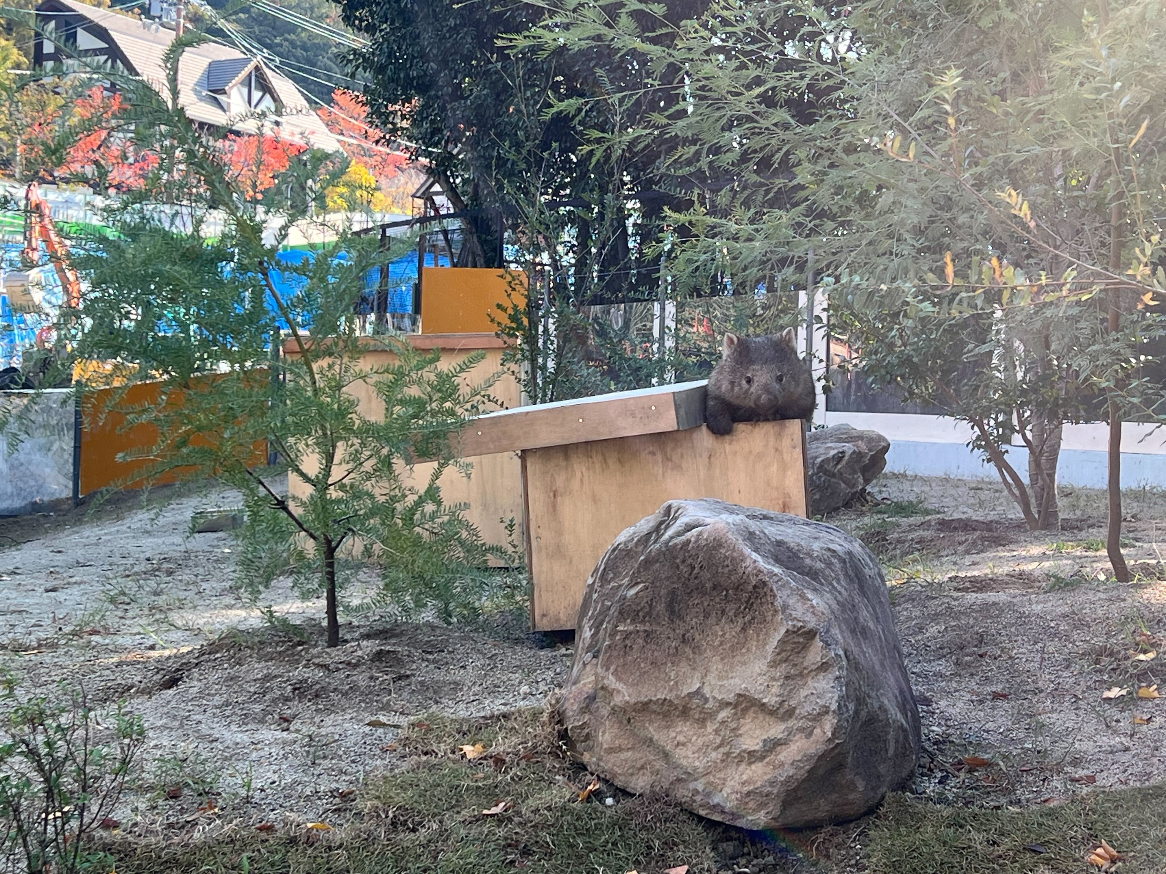 プロジェクトのいま／2025年11月17日