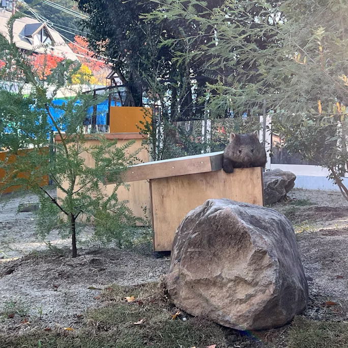 プロジェクトのいま/2025年11月17日