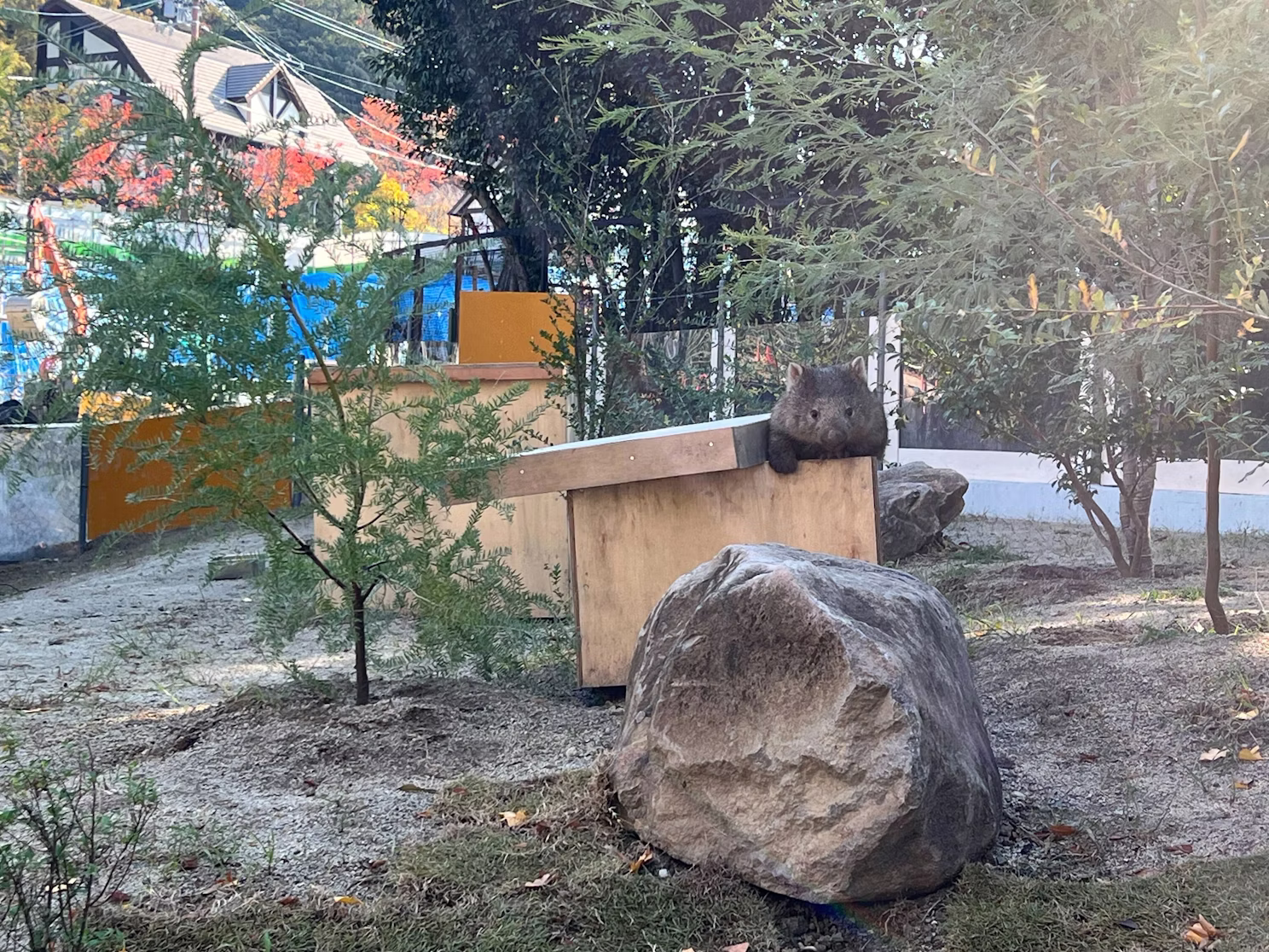 プロジェクトのいま／2025年11月17日