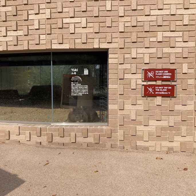 プロジェクトのいま/2025年11月7日