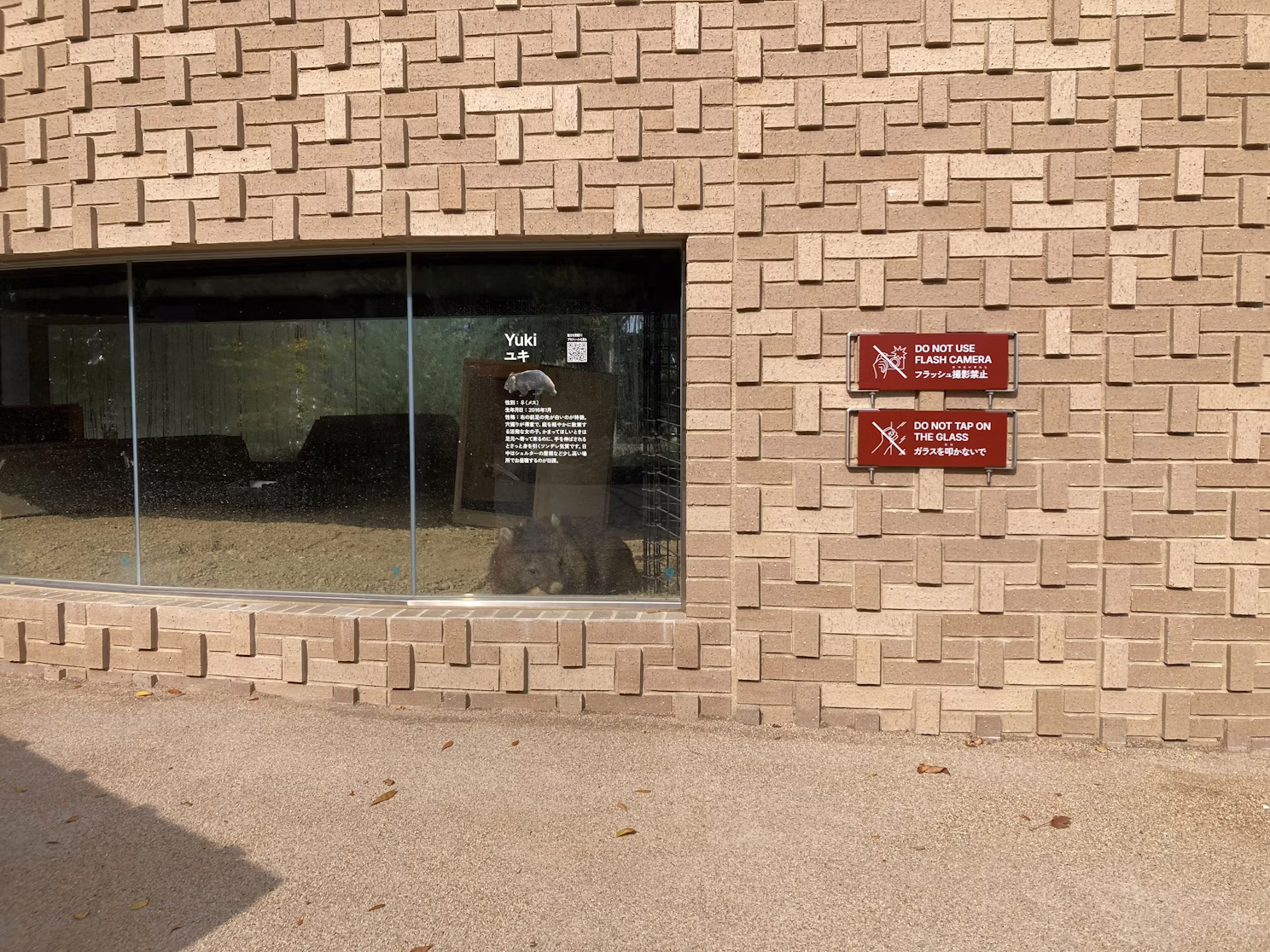 プロジェクトのいま／2025年11月7日