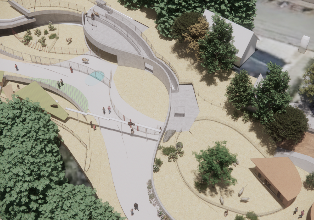 動物の“らしさ”を見つめ、ともに暮らす環境づくり〜ウォンバットだけじゃない動物たちの魅力