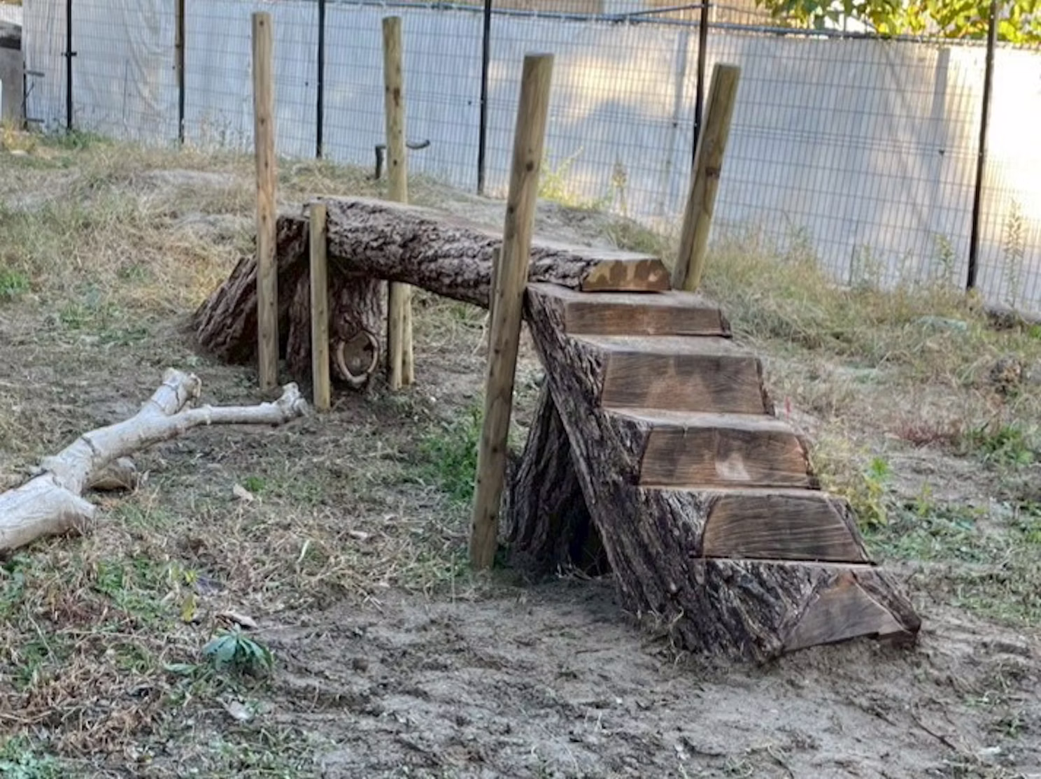 環境エンリッチメント