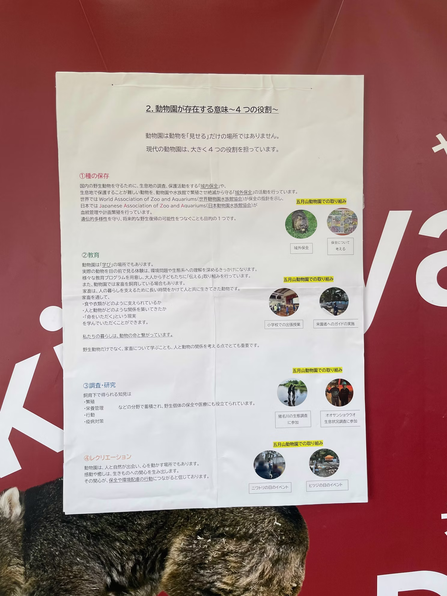 2026年4月19日飼育の日のイベントを開催しました！