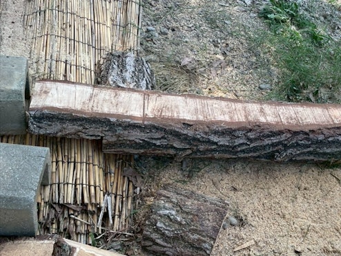 環境エンリッチメント