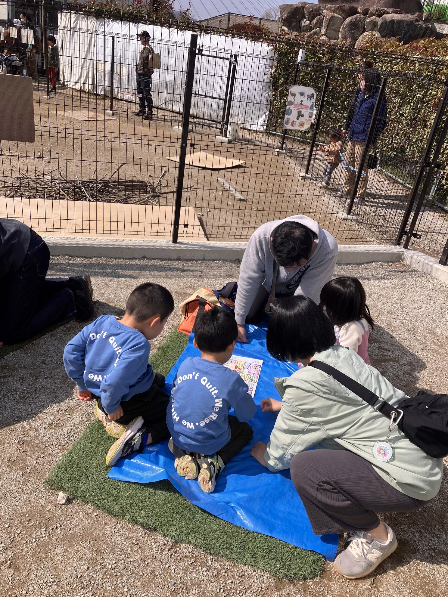 ヒキガエルの一生サバイバル！