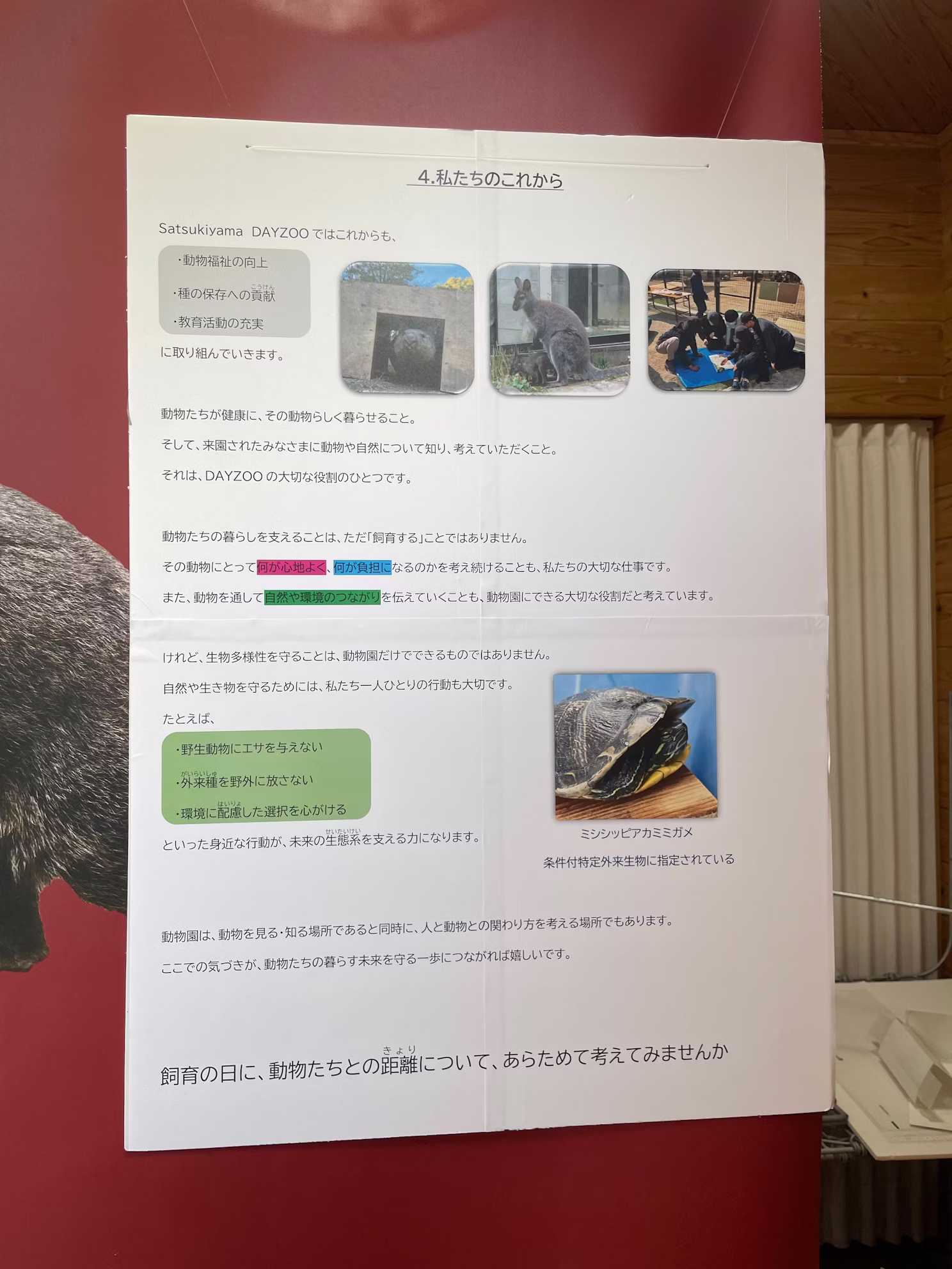 2026年4月19日飼育の日のイベントを開催しました！