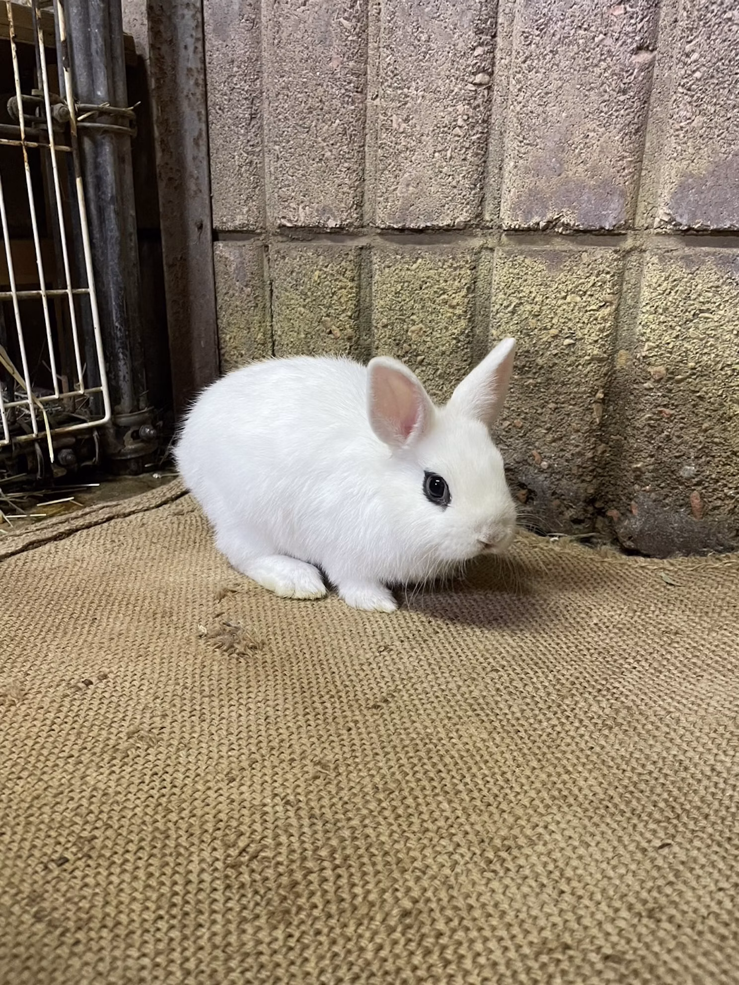 【訃報】