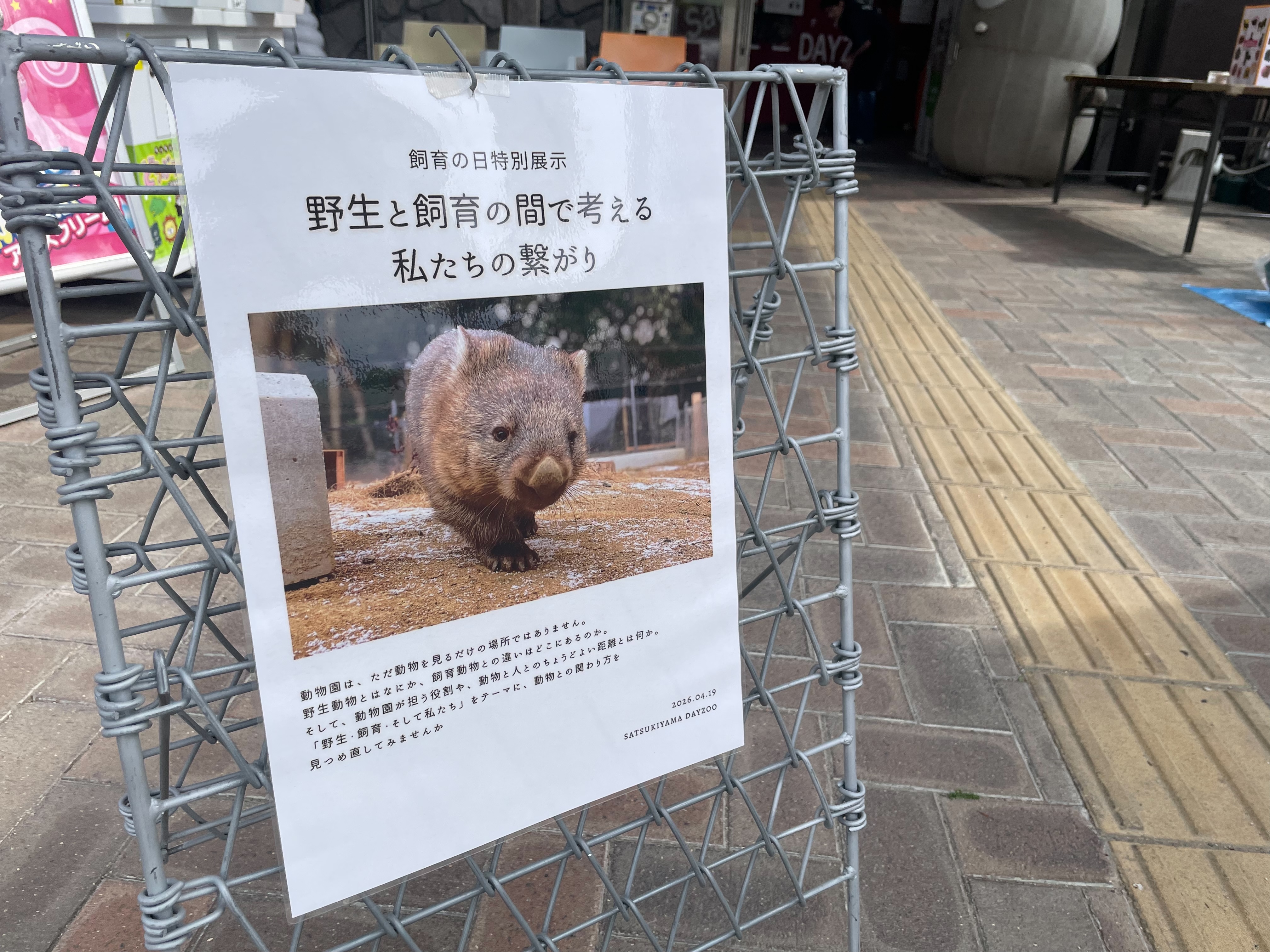 2026年4月19日飼育の日のイベントを開催しました！