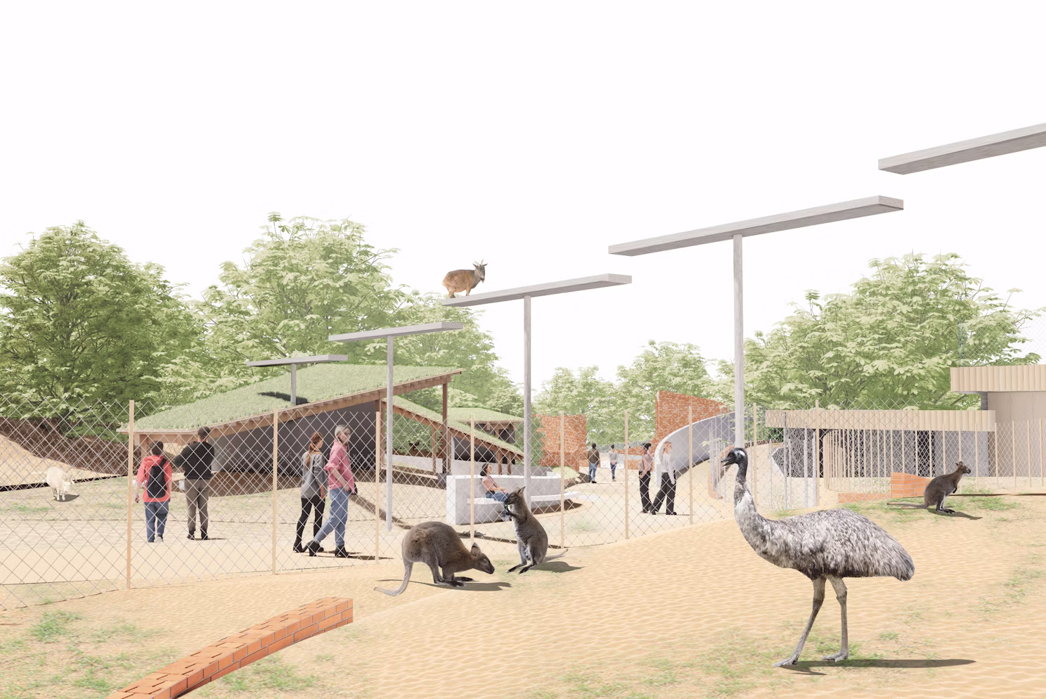 動物の“らしさ”を見つめ、ともに暮らす環境づくり〜ウォンバットだけじゃない動物たちの魅力