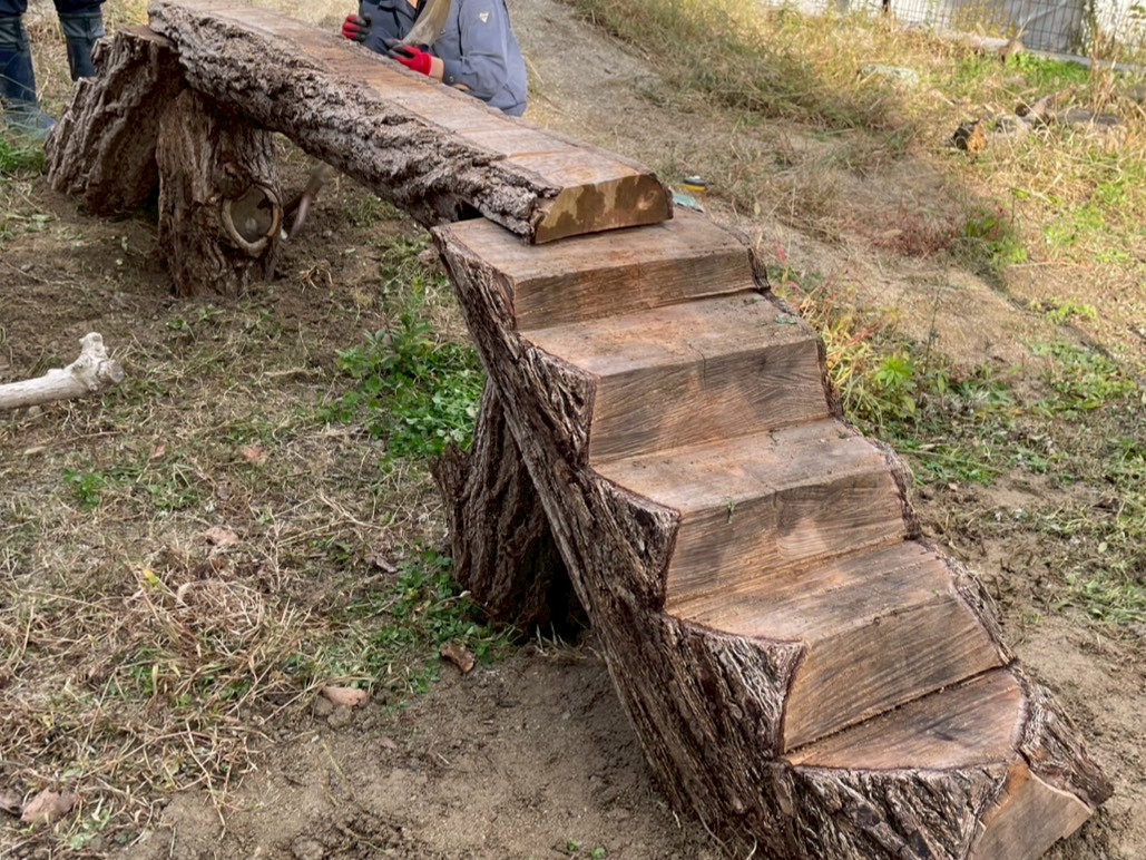 環境エンリッチメント