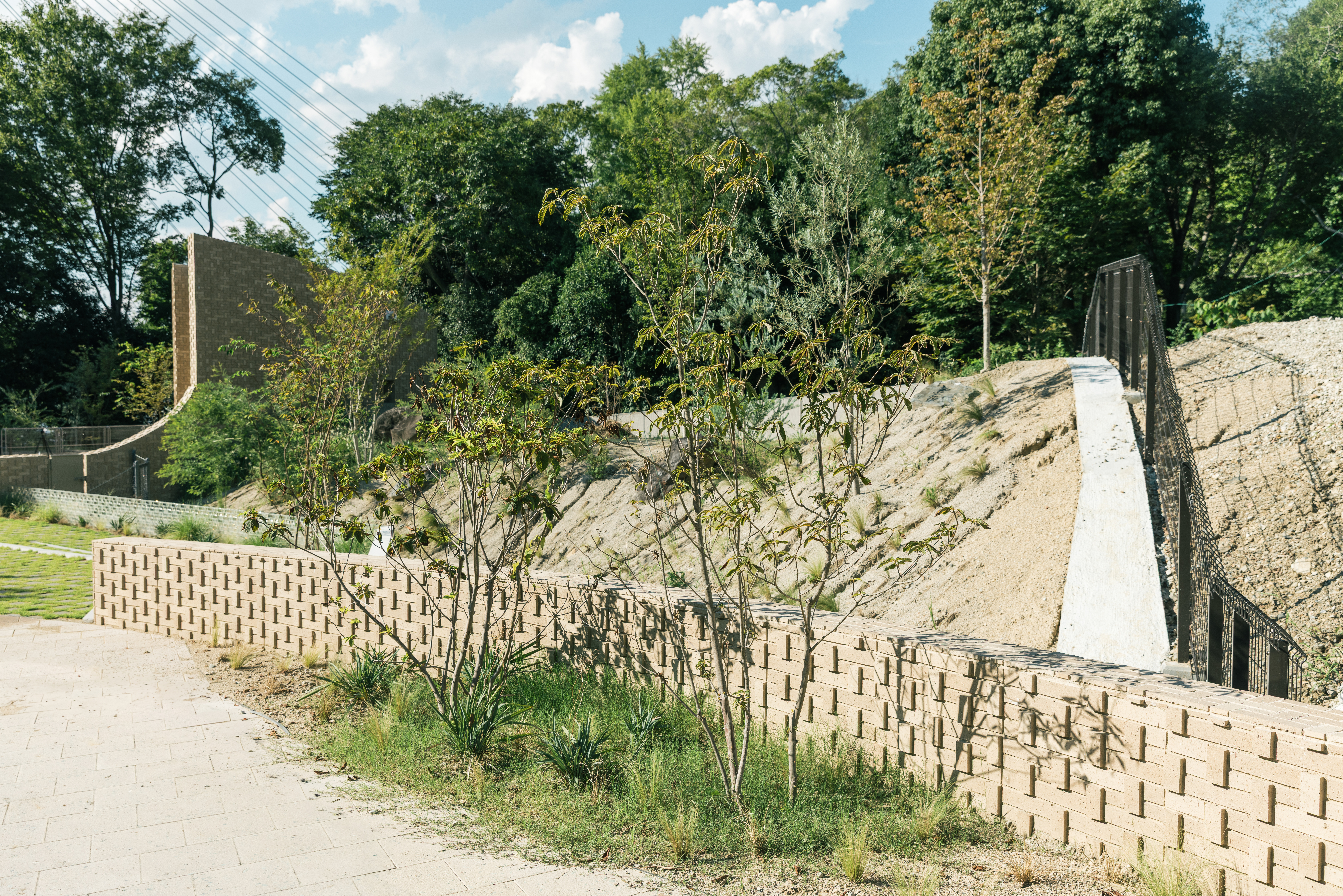 五月山の自然を生かした「生息環境展示」とは？