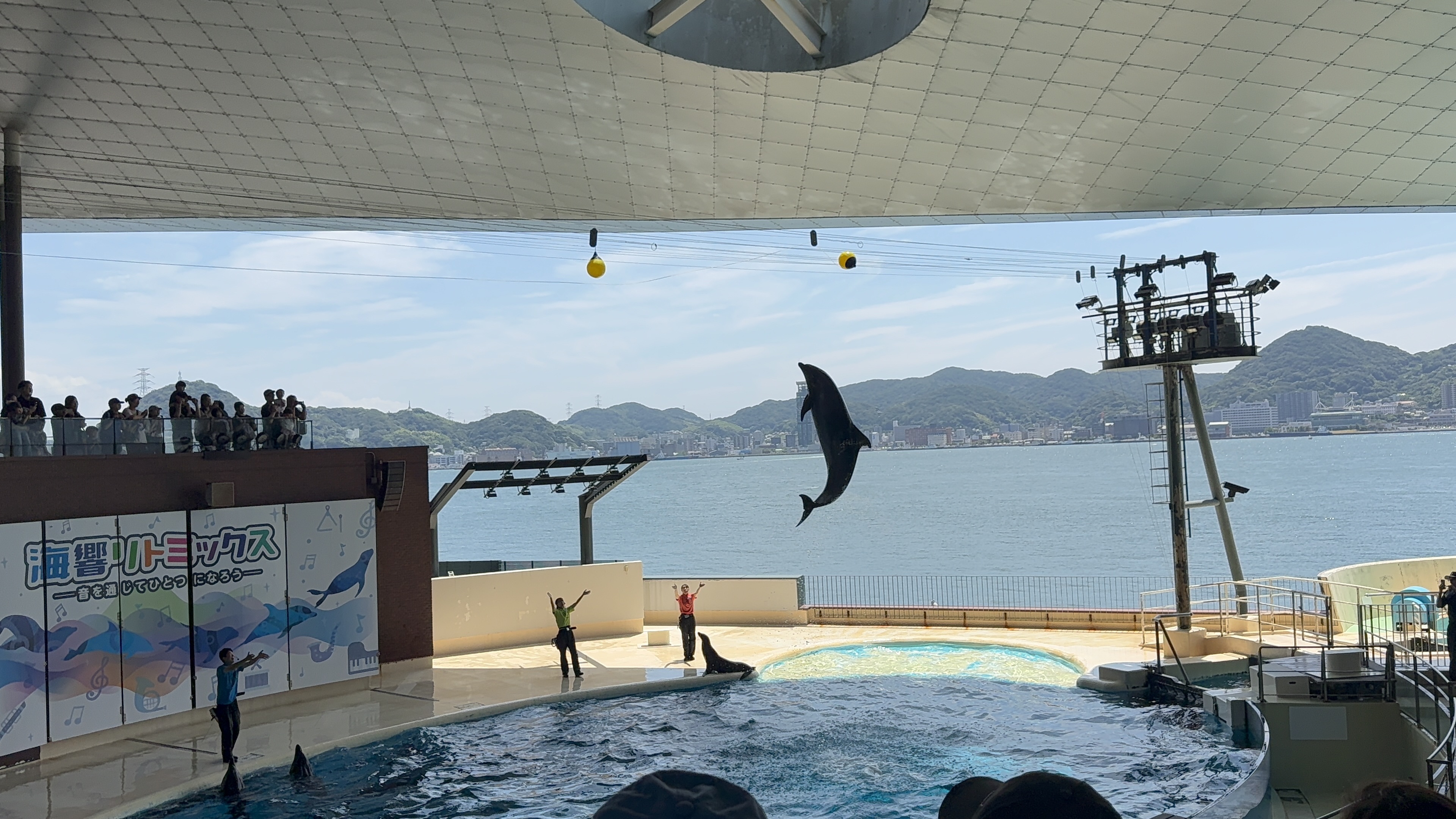 関門海峡に飛ぶイルカ