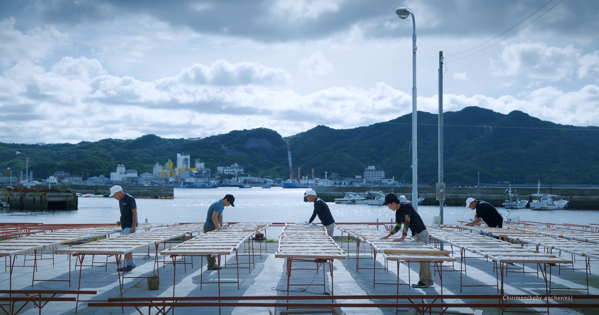 邦楽 The Philharmonic Turntable Orchestra Turntable Orchestra | STARRYWORKS inc.