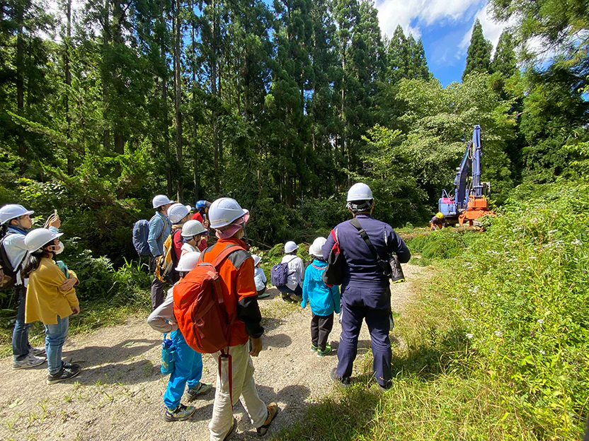 木の旅 in はつかいちへの協力