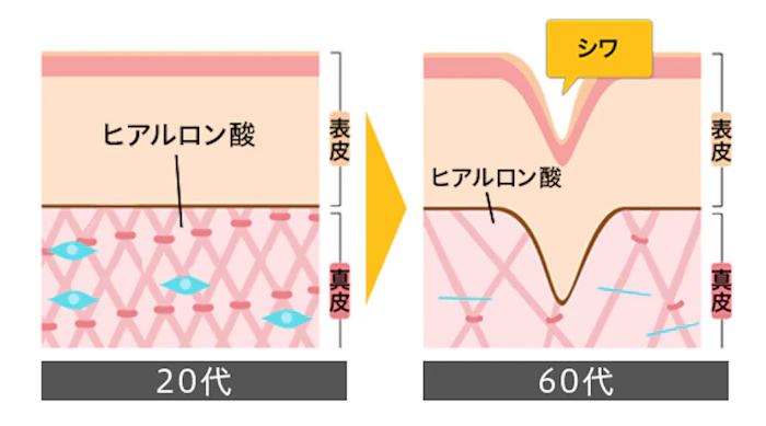 20代-60代